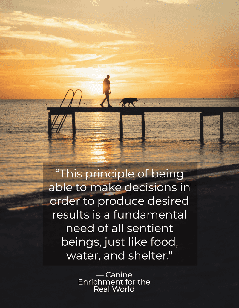 A quote from the book Canine Enrichment for the Real World over the image of a man walking on a dock with his dog at sunset